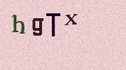 Visual Confirmation Security Code