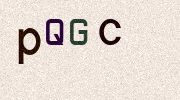Visual Confirmation Security Code