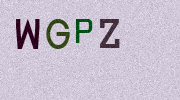 Visual Confirmation Security Code