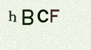 Visual Confirmation Security Code