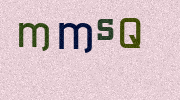 Visual Confirmation Security Code