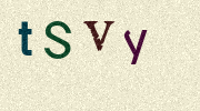 Visual Confirmation Security Code