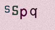 Visual Confirmation Security Code