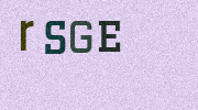 Visual Confirmation Security Code