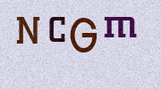 Visual Confirmation Security Code