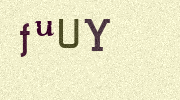 Visual Confirmation Security Code