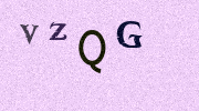 Visual Confirmation Security Code