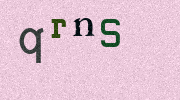 Visual Confirmation Security Code