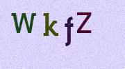 Visual Confirmation Security Code