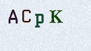 Visual Confirmation Security Code