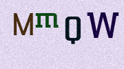 Visual Confirmation Security Code