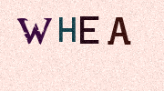 Visual Confirmation Security Code