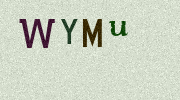 Visual Confirmation Security Code