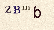 Visual Confirmation Security Code