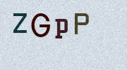 Visual Confirmation Security Code