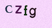 Visual Confirmation Security Code