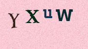 Visual Confirmation Security Code