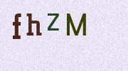 Visual Confirmation Security Code