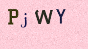 Visual Confirmation Security Code