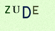 Visual Confirmation Security Code