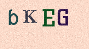 Visual Confirmation Security Code
