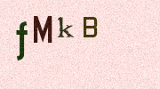 Visual Confirmation Security Code