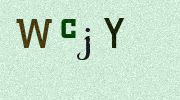 Visual Confirmation Security Code