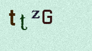 Visual Confirmation Security Code