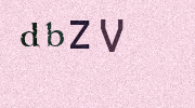Visual Confirmation Security Code