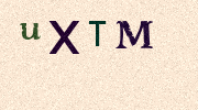 Visual Confirmation Security Code