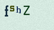 Visual Confirmation Security Code