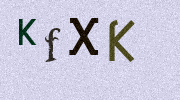 Visual Confirmation Security Code