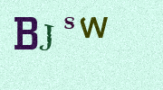 Visual Confirmation Security Code
