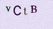 Visual Confirmation Security Code