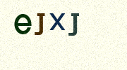 Visual Confirmation Security Code