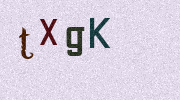 Visual Confirmation Security Code