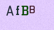 Visual Confirmation Security Code