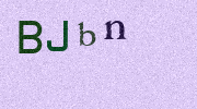 Visual Confirmation Security Code