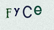 Visual Confirmation Security Code