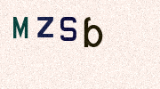 Visual Confirmation Security Code