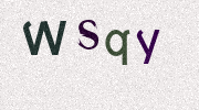 Visual Confirmation Security Code