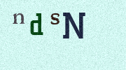 Visual Confirmation Security Code