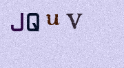 Visual Confirmation Security Code