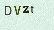 Visual Confirmation Security Code