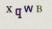 Visual Confirmation Security Code