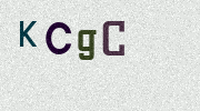 Visual Confirmation Security Code