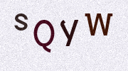 Visual Confirmation Security Code