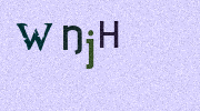 Visual Confirmation Security Code