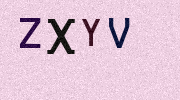 Visual Confirmation Security Code