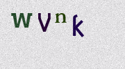Visual Confirmation Security Code